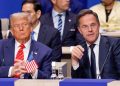 Trump says US should have tested NATO by invoking Article 5 over border security