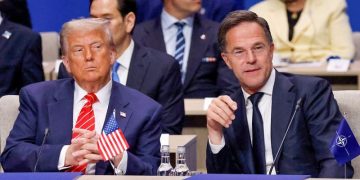 Trump says US should have tested NATO by invoking Article 5 over border security
