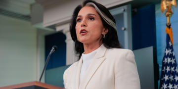 Tulsi Gabbard denies wrongdoing over delayed whistleblower complaint referral to Congress members: ‘Baseless’